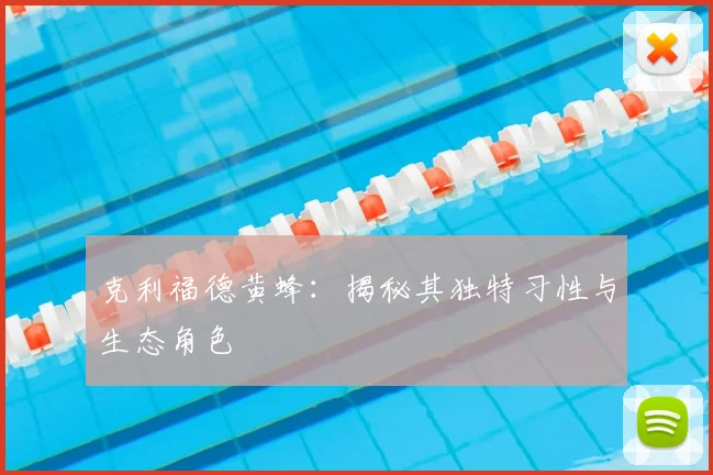 克利福德黄蜂：揭秘其独特习性与生态角色