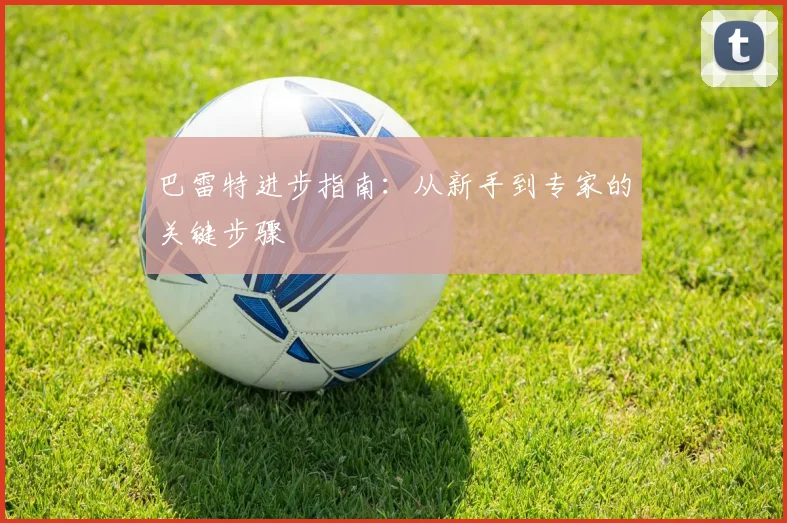 巴雷特进步指南：从新手到专家的关键步骤
