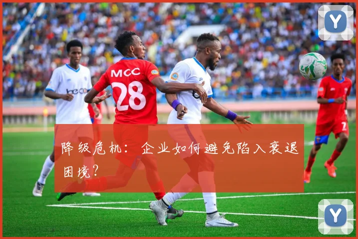降级危机:企业如何避免陷入衰退困境?